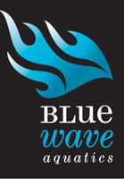 Blue Wave Aquatic Masters Swimming